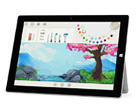 秦淮Surface 无法开启、Windows 无法启动或电池无法充电